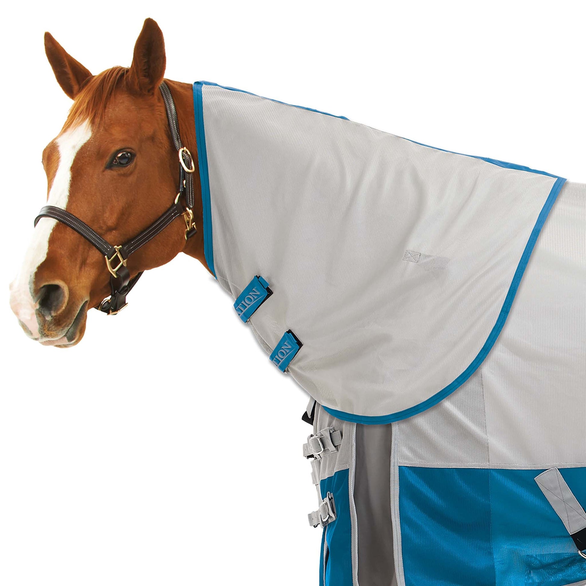 grey fly sheet with blue trim
