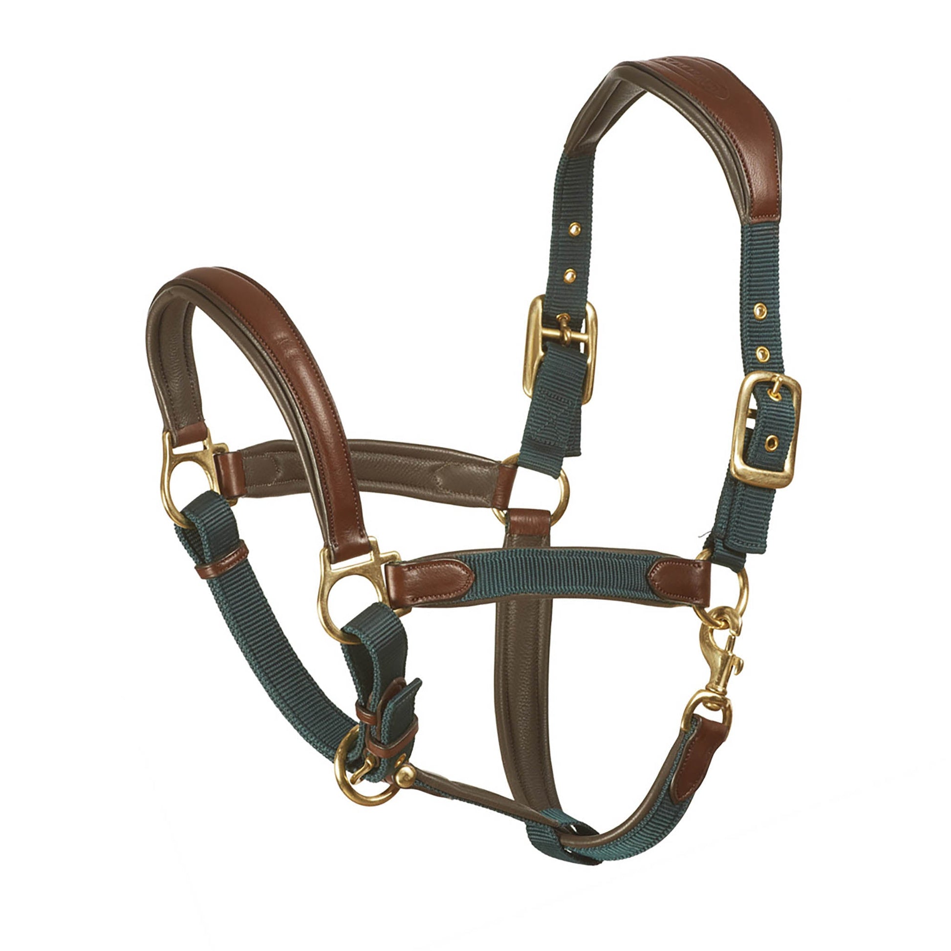 Horse halter with brown leather and green webbing on a white background