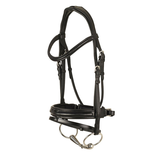 dressage bridle