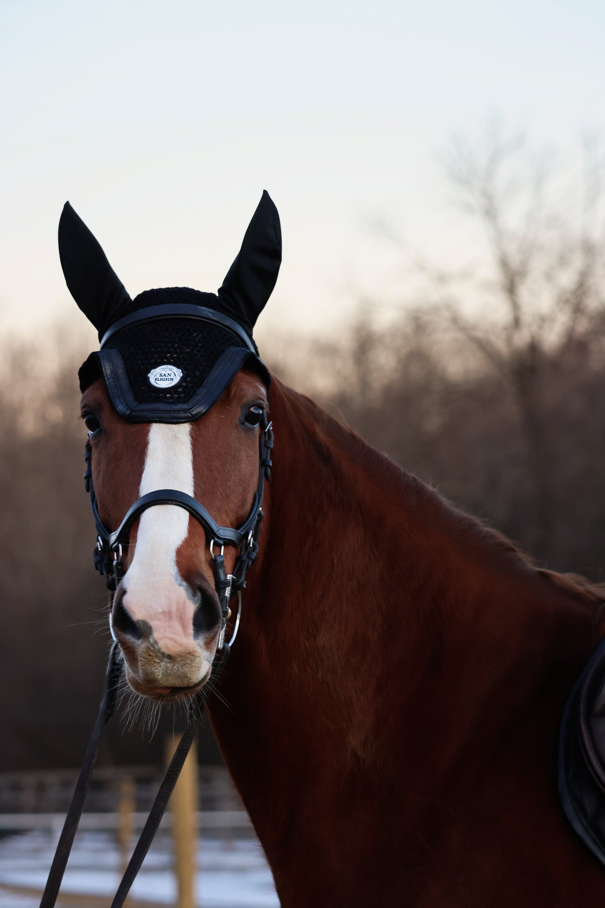 black horse bonnet