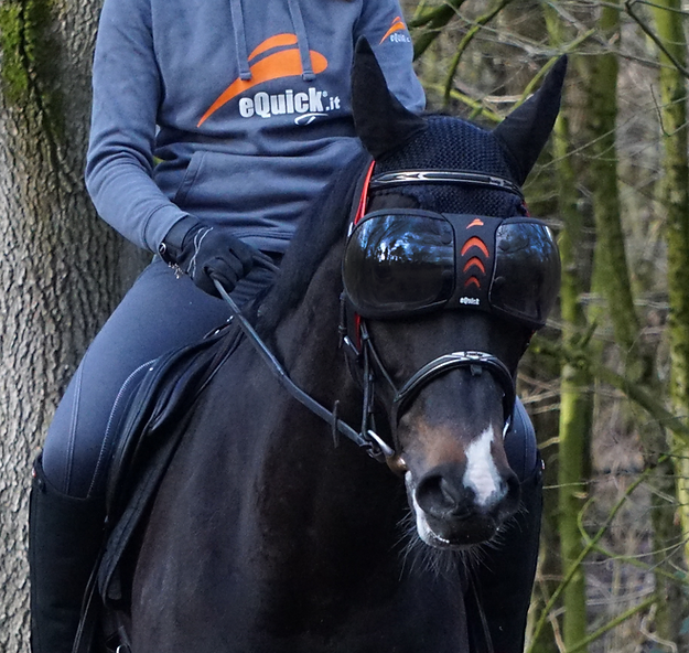 horse sun visor