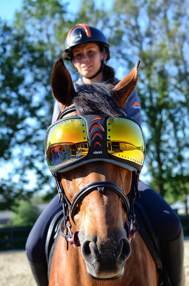 horse sun visor
