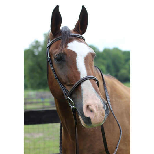 brown leather bridle