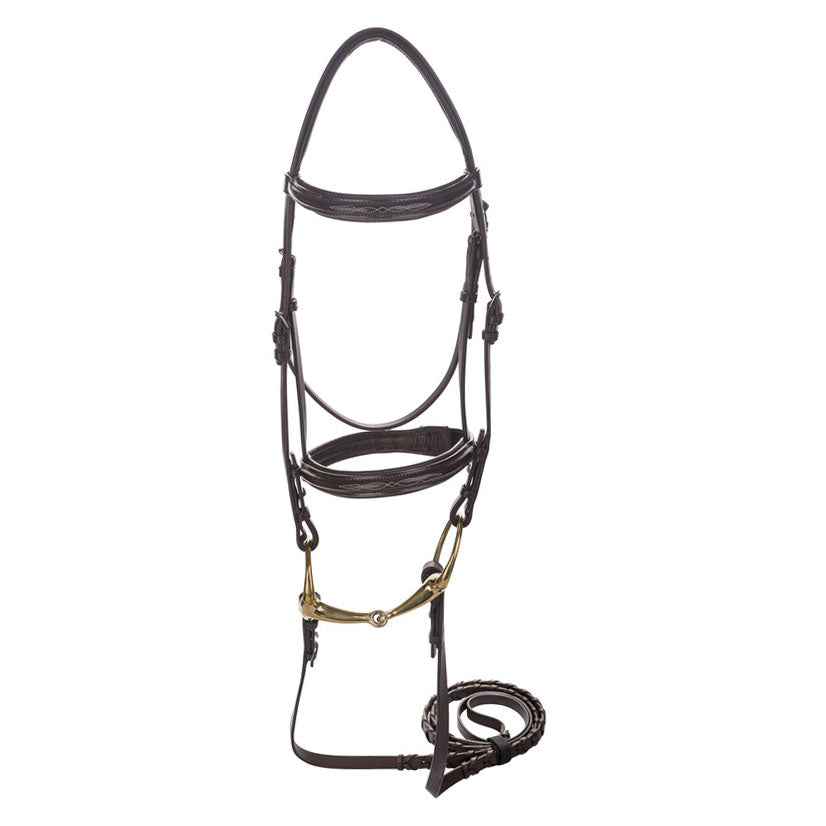 brown leather bridle