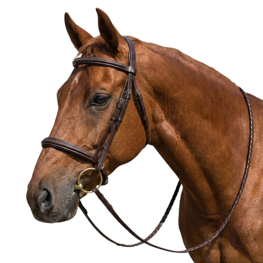 brown leather bridle