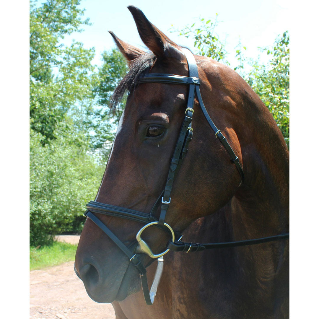 black horse bridle