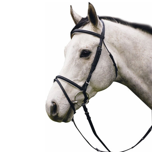 black dressage bridle