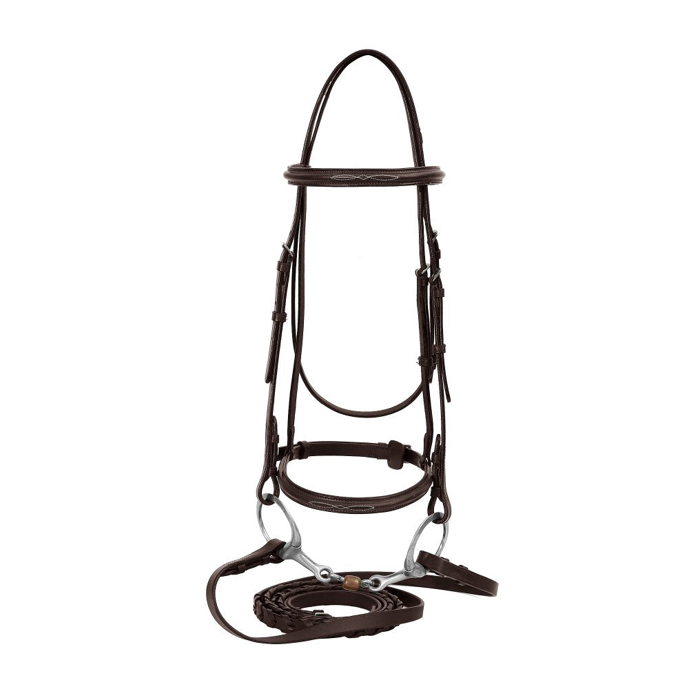 brown horse bridle