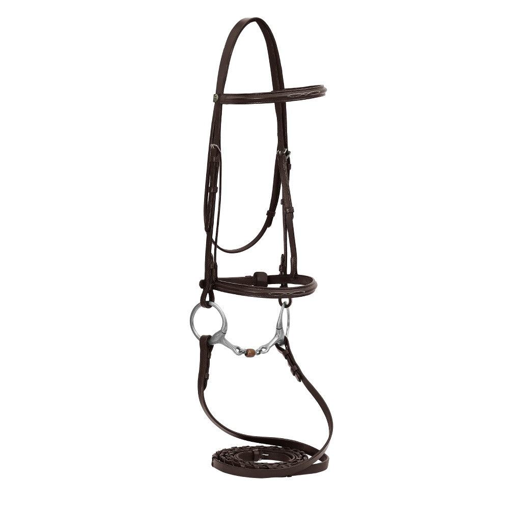 brown horse bridle
