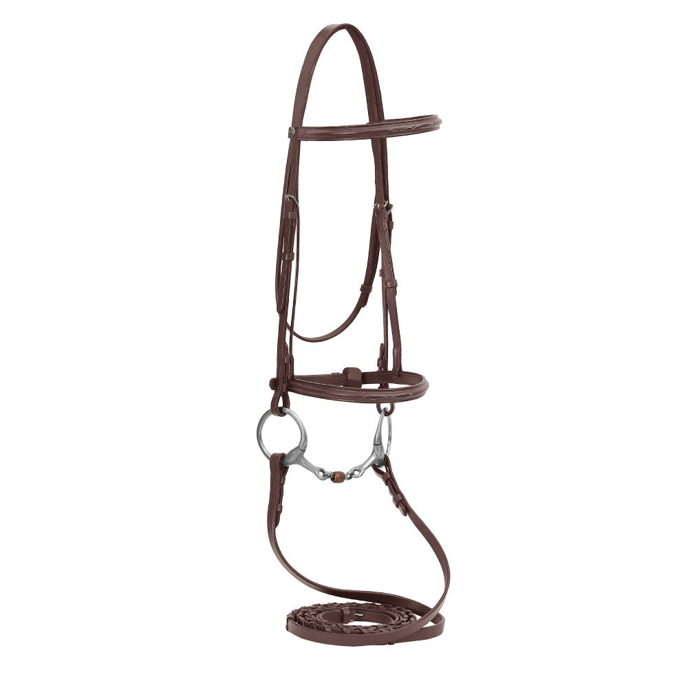 brown horse bridle