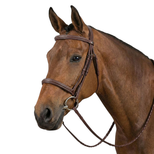 brown horse bridle