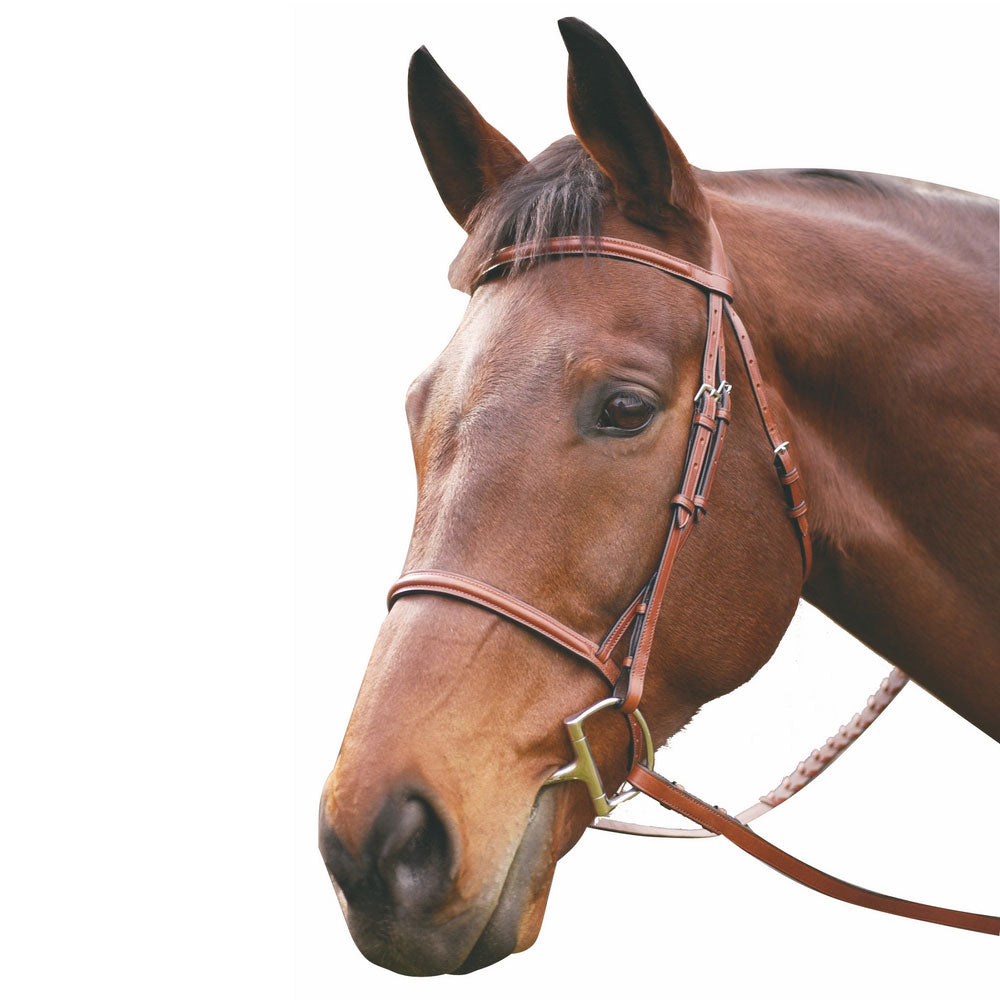brown horse bridle