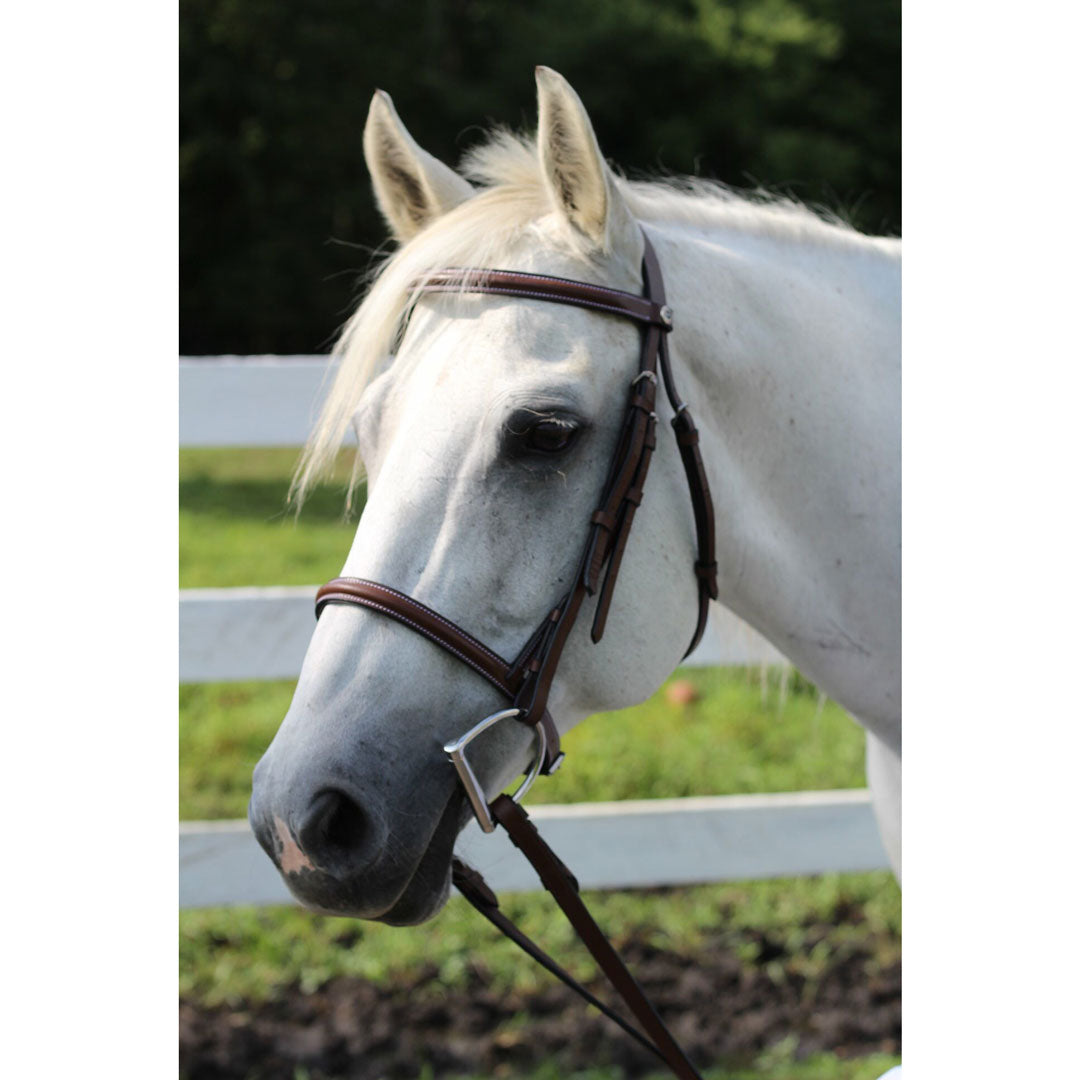 brown horse bridle