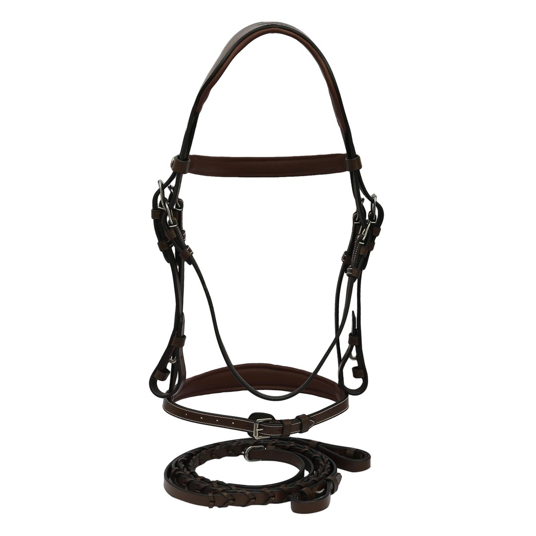 brown bridle with reins