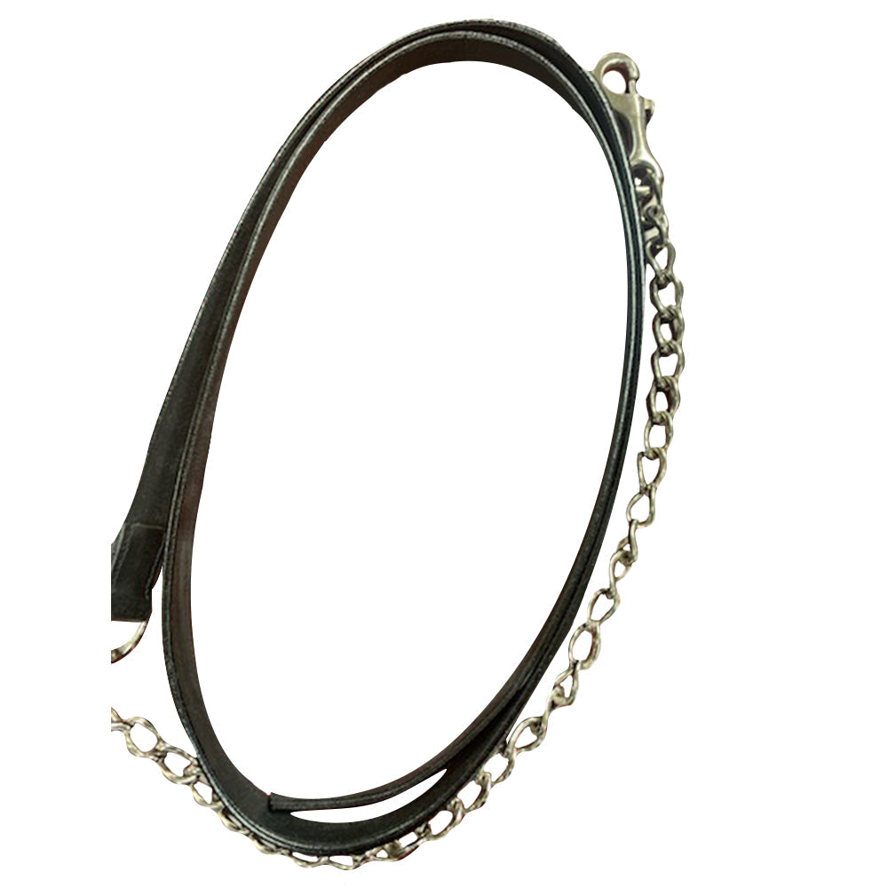 leather lead with brass chain