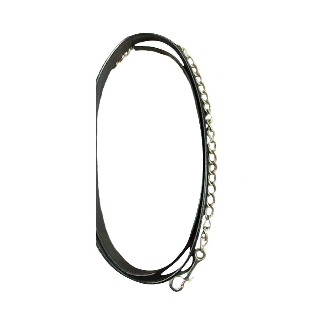 leather lead with brass chain