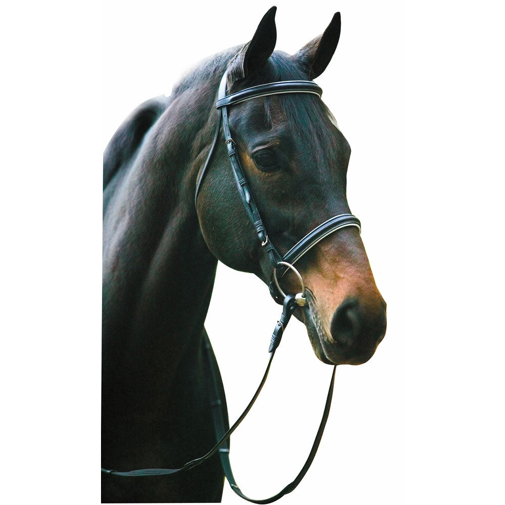 dressage bridle