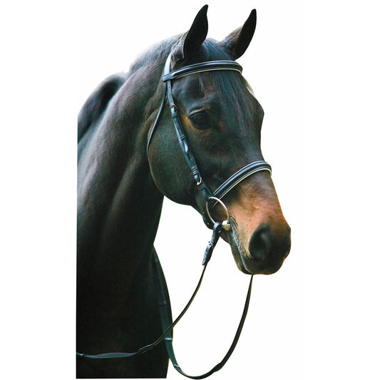 dressage bridle