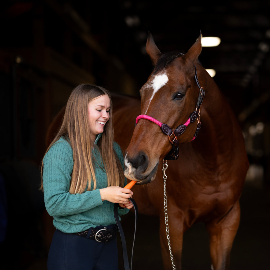 brown horse halter and pink rope