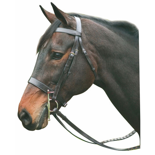 brown hunt bridle