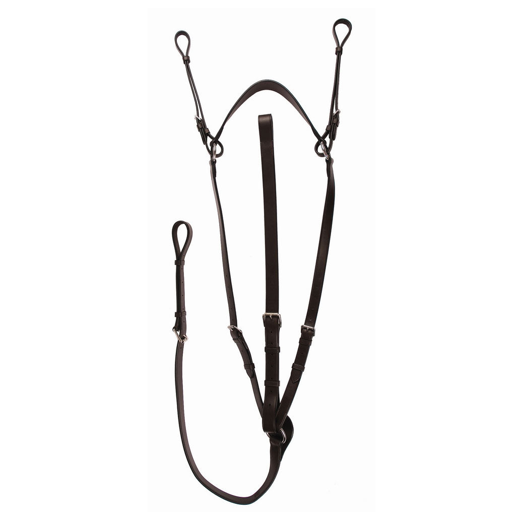 horse breastplate with martingale