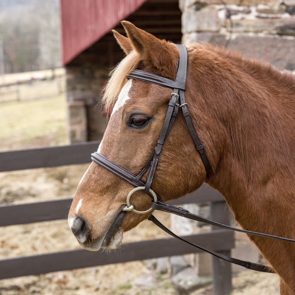 brown leather bridle