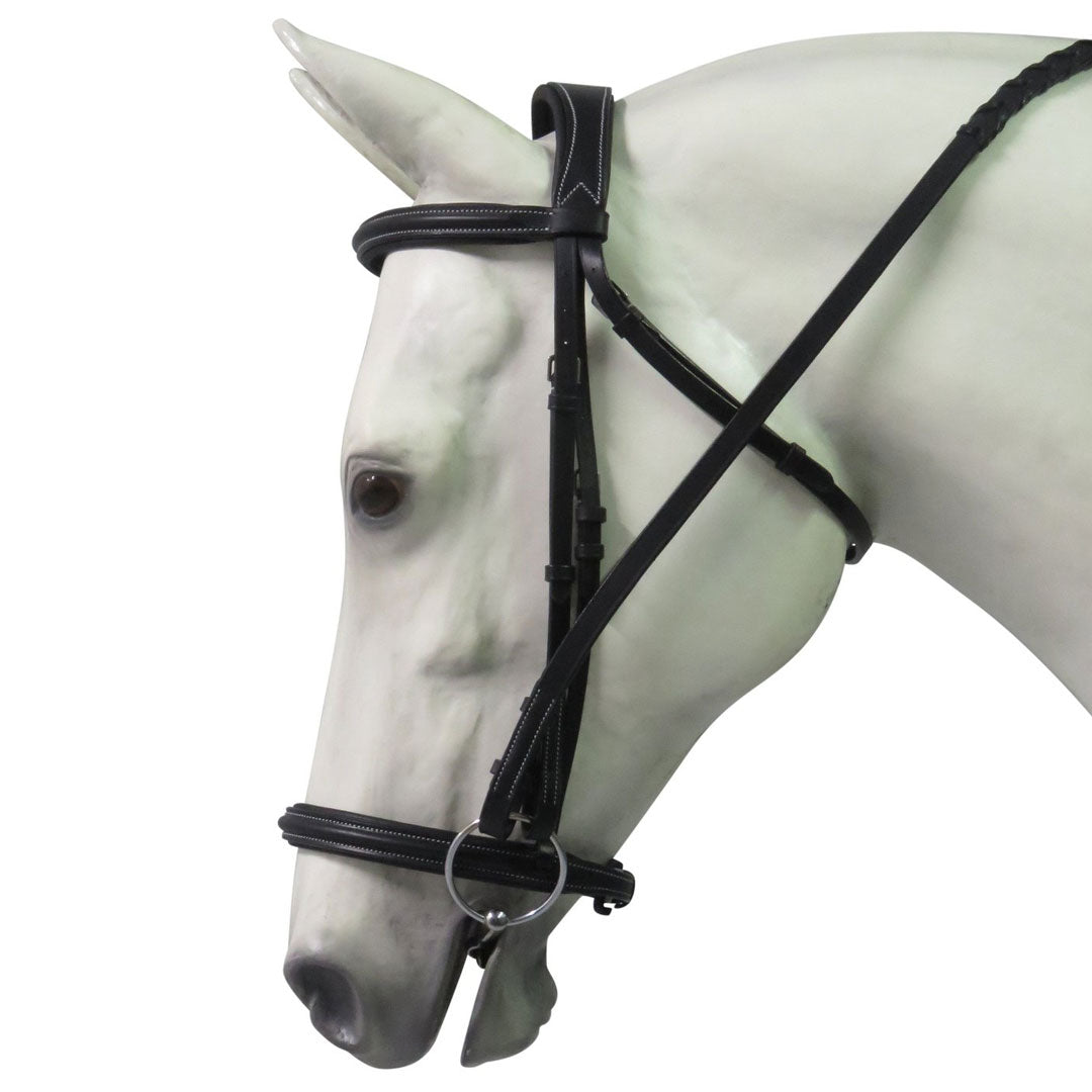 black leather bridle