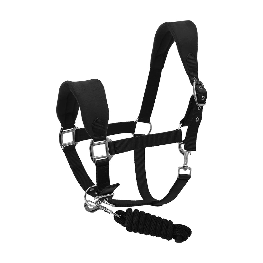 black halter and lead set