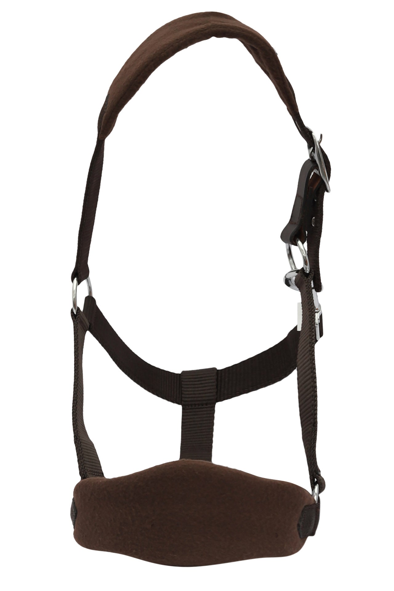 brown horse halter