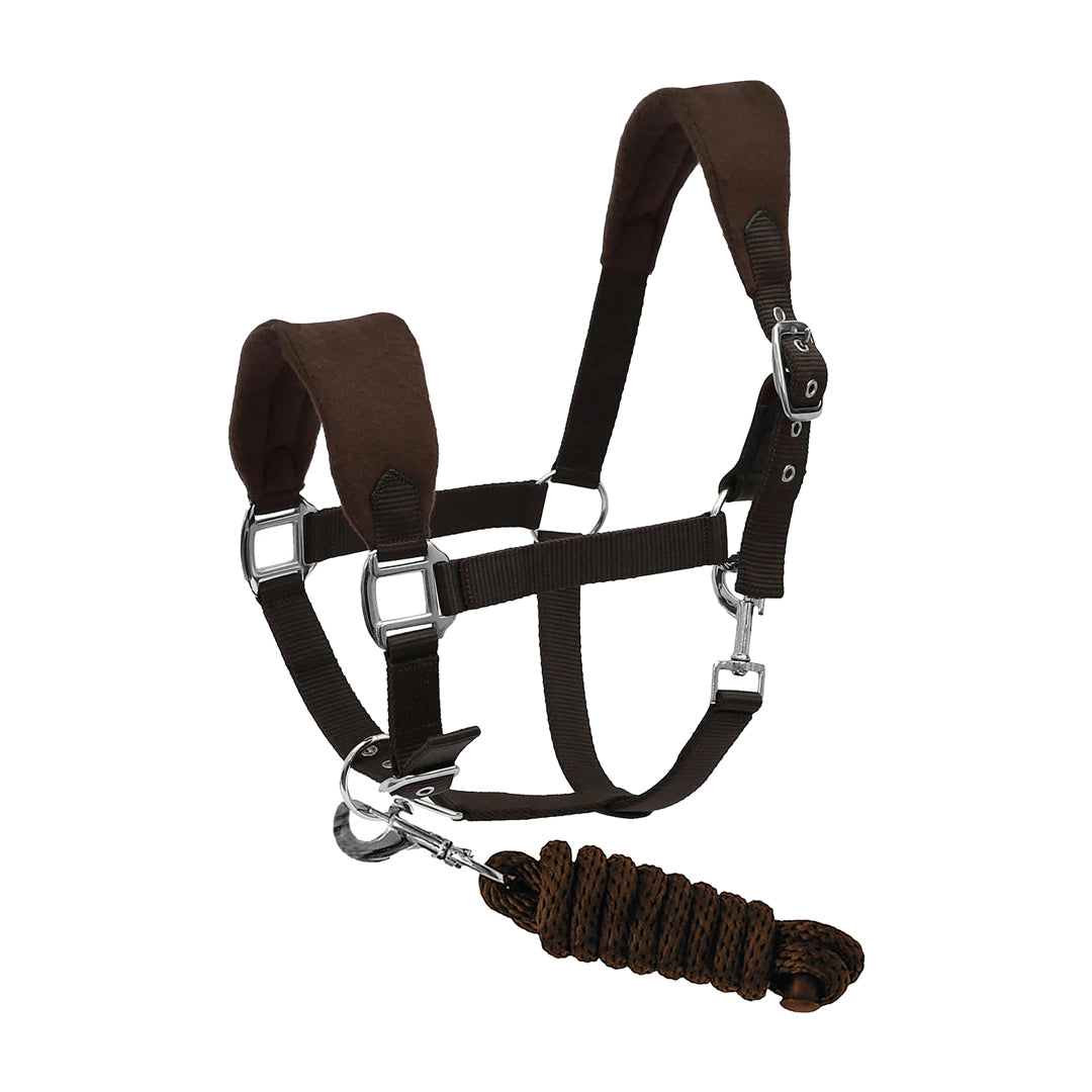 brown halter and lead set