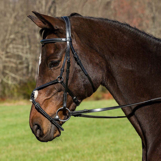figure 8 horse bridle