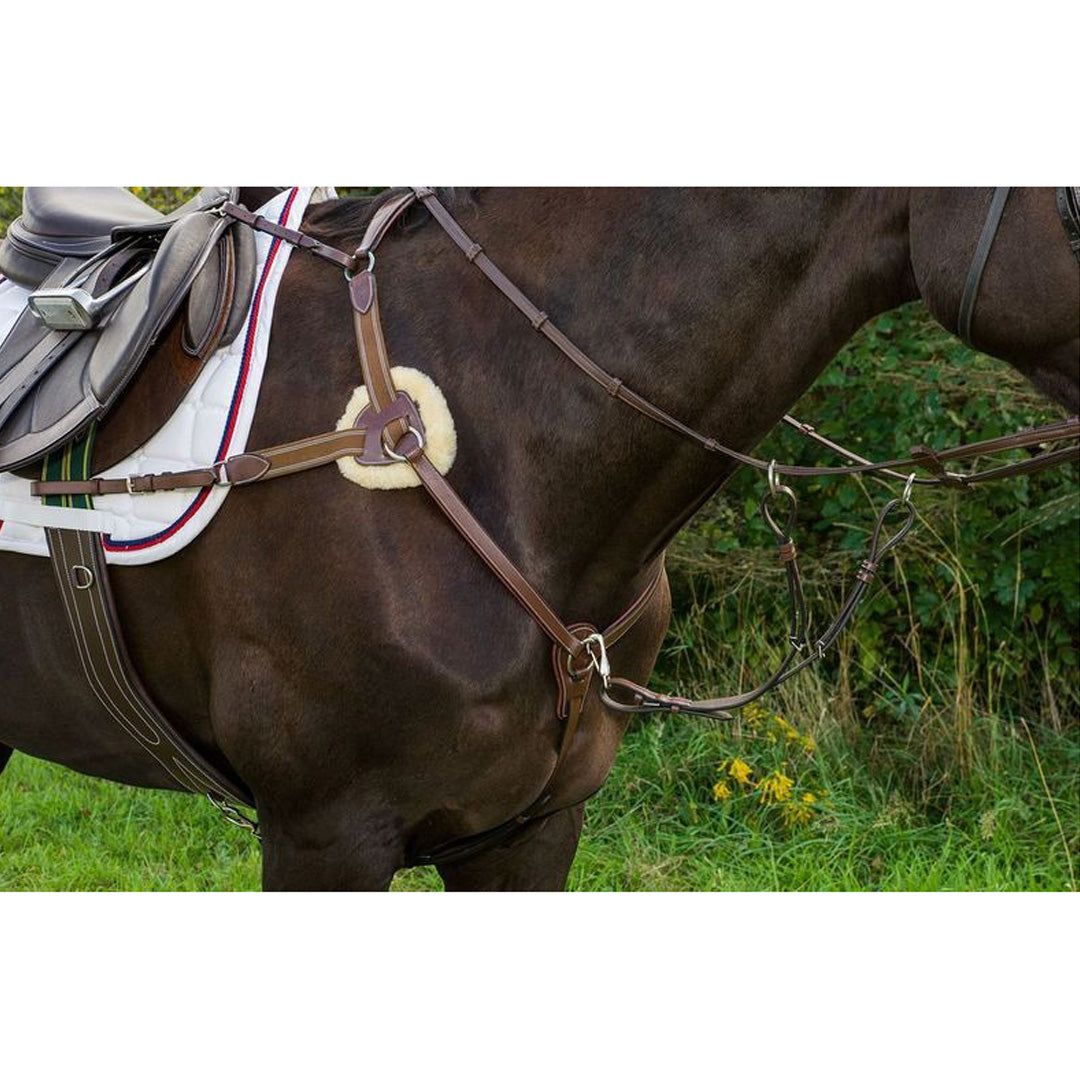 brown martingale with sherpa padding