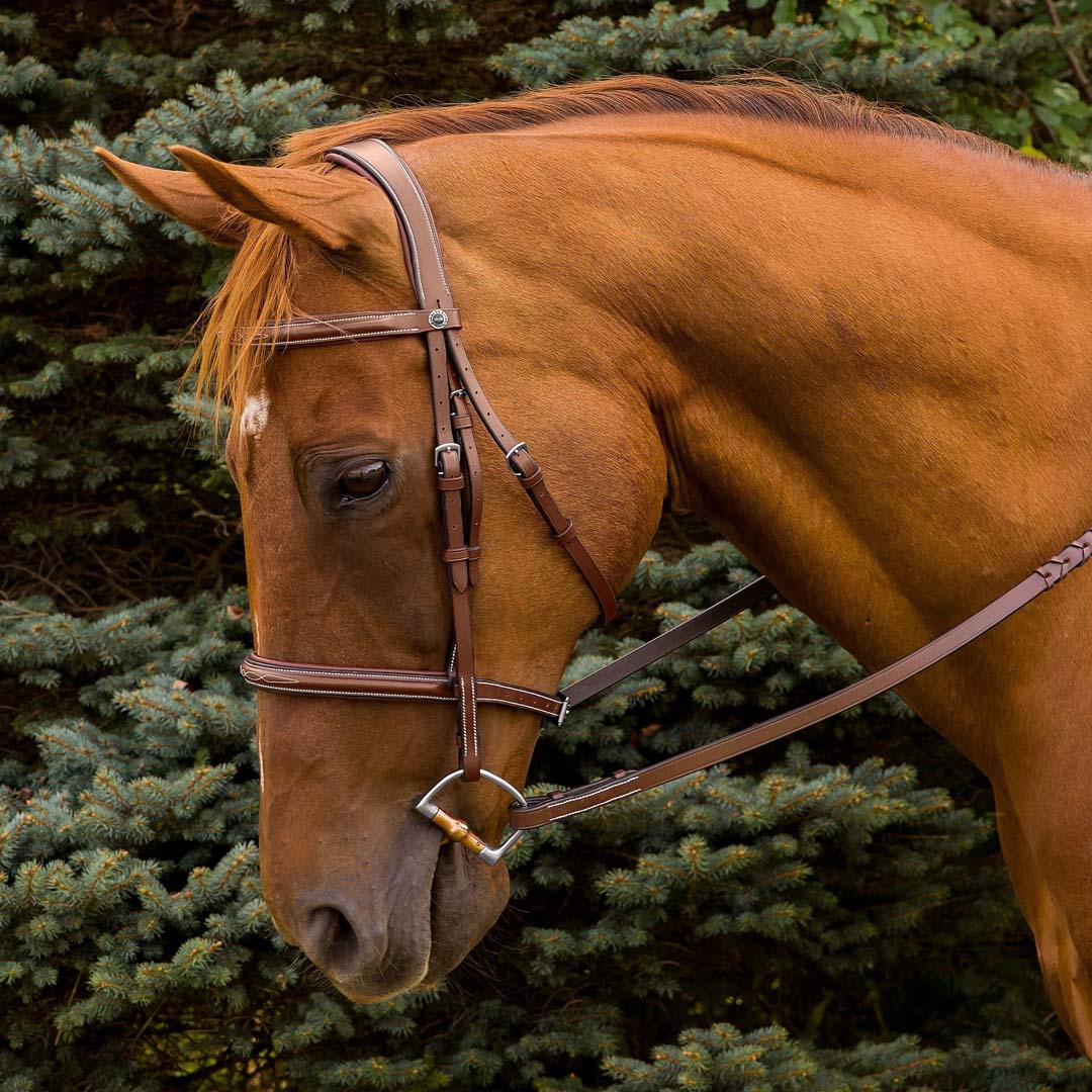 brown leather bridle