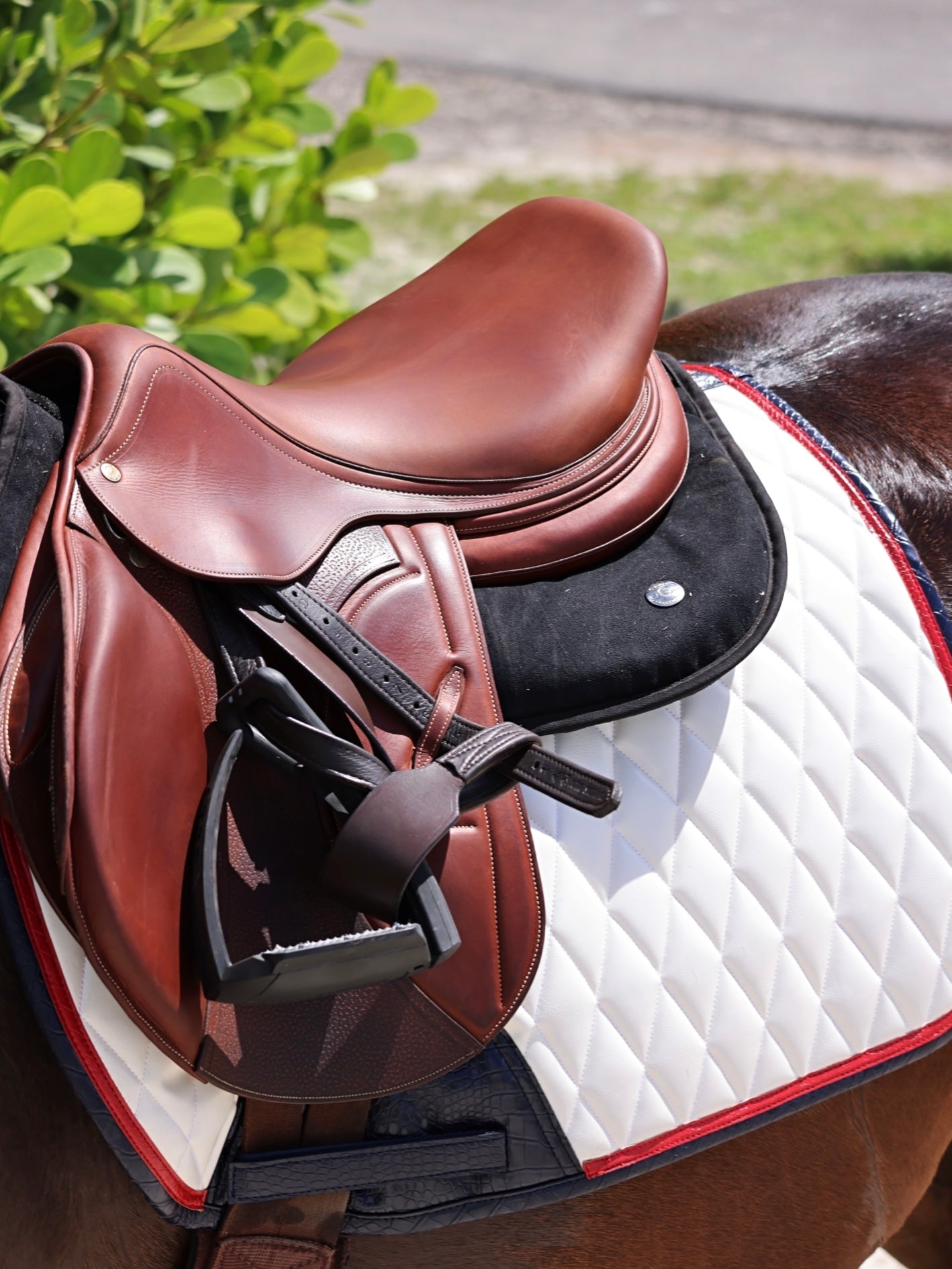 Brown saddle on a horse with a white and red quilted pad, green foliage in the background