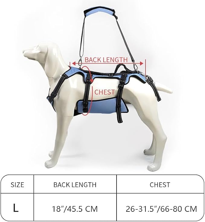 Coodeo Dog Lift Harness, Full Body Support & Recovery Sling, Pet Rehabilitation Lifts Vest for Old Dog with Arthritis Walk(Bule,L)