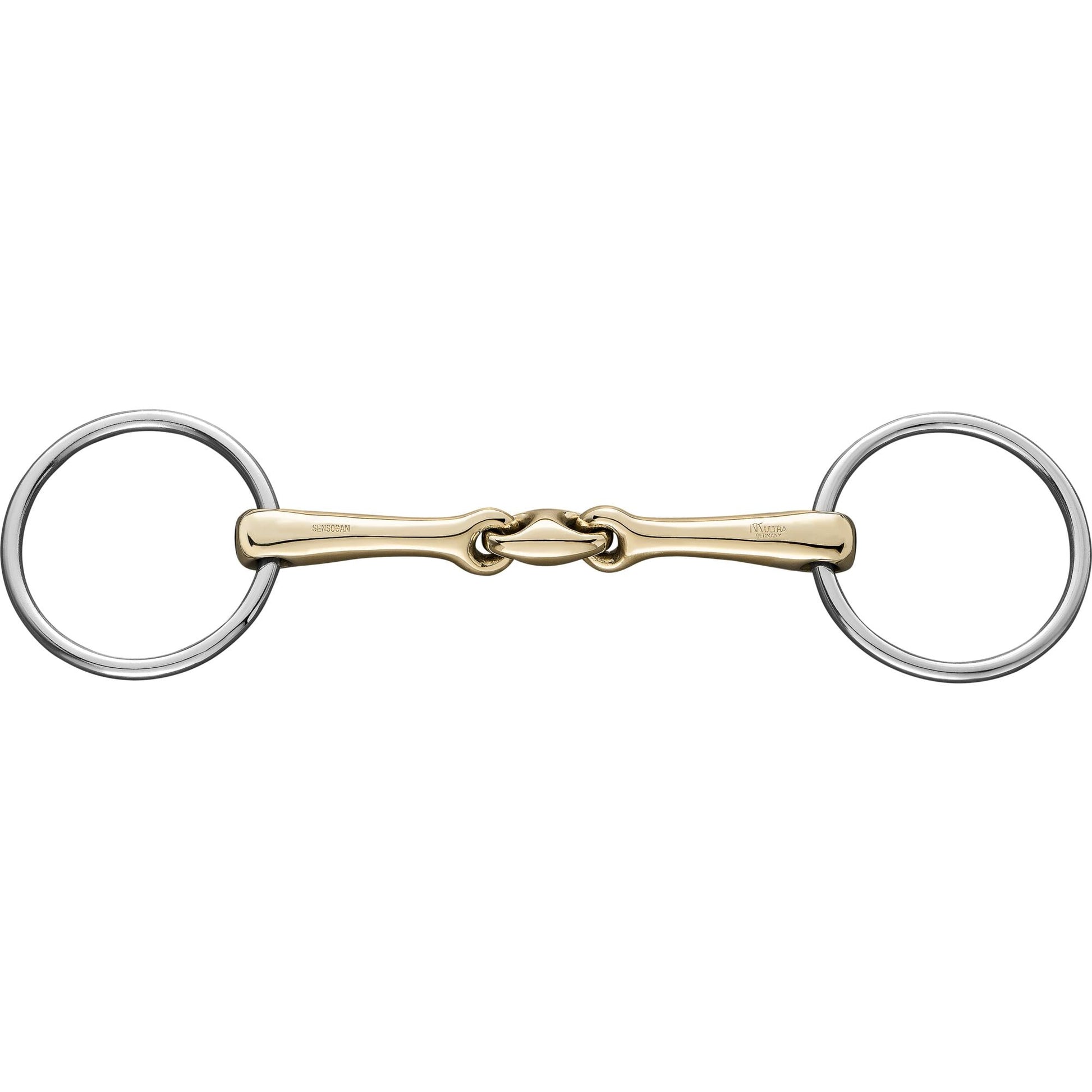 horse bridle