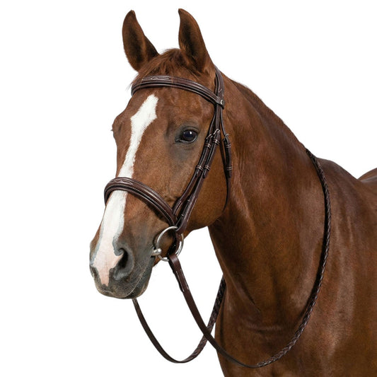 brown bridle