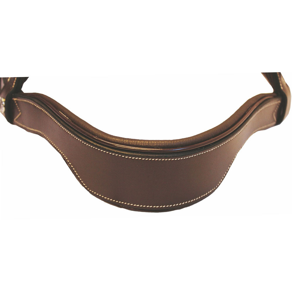 brown leather bridle