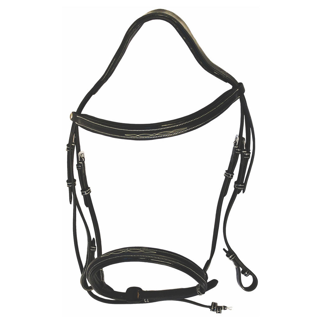 brown leather bridle