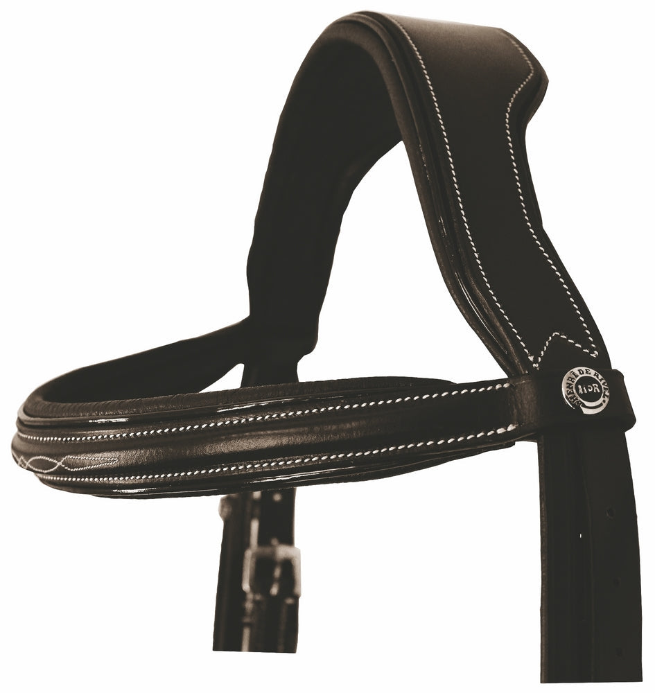 brown leather bridle