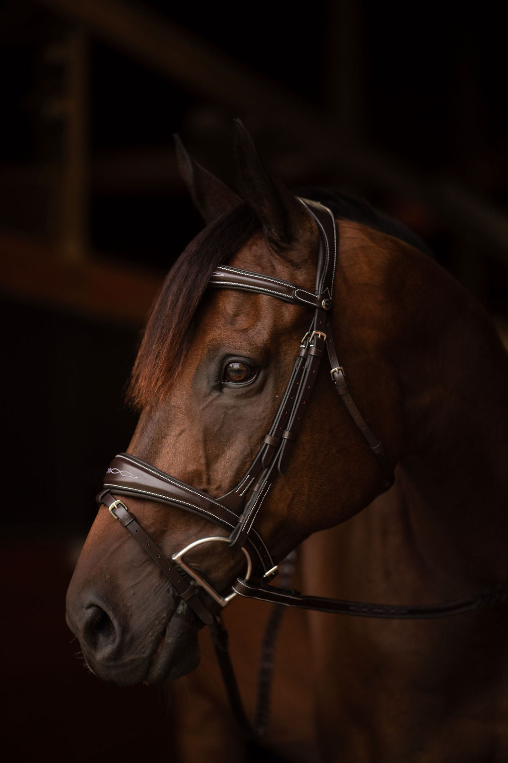 horse bridle with reins
