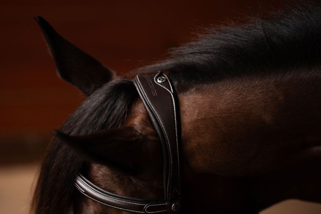 horse bridle with reins