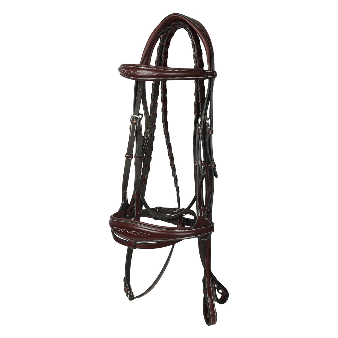 horse bridle with reins