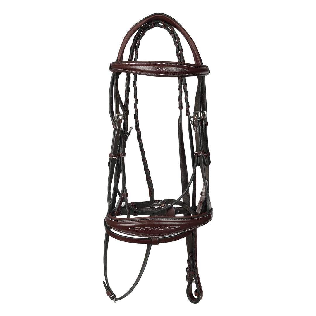 horse bridle with reins