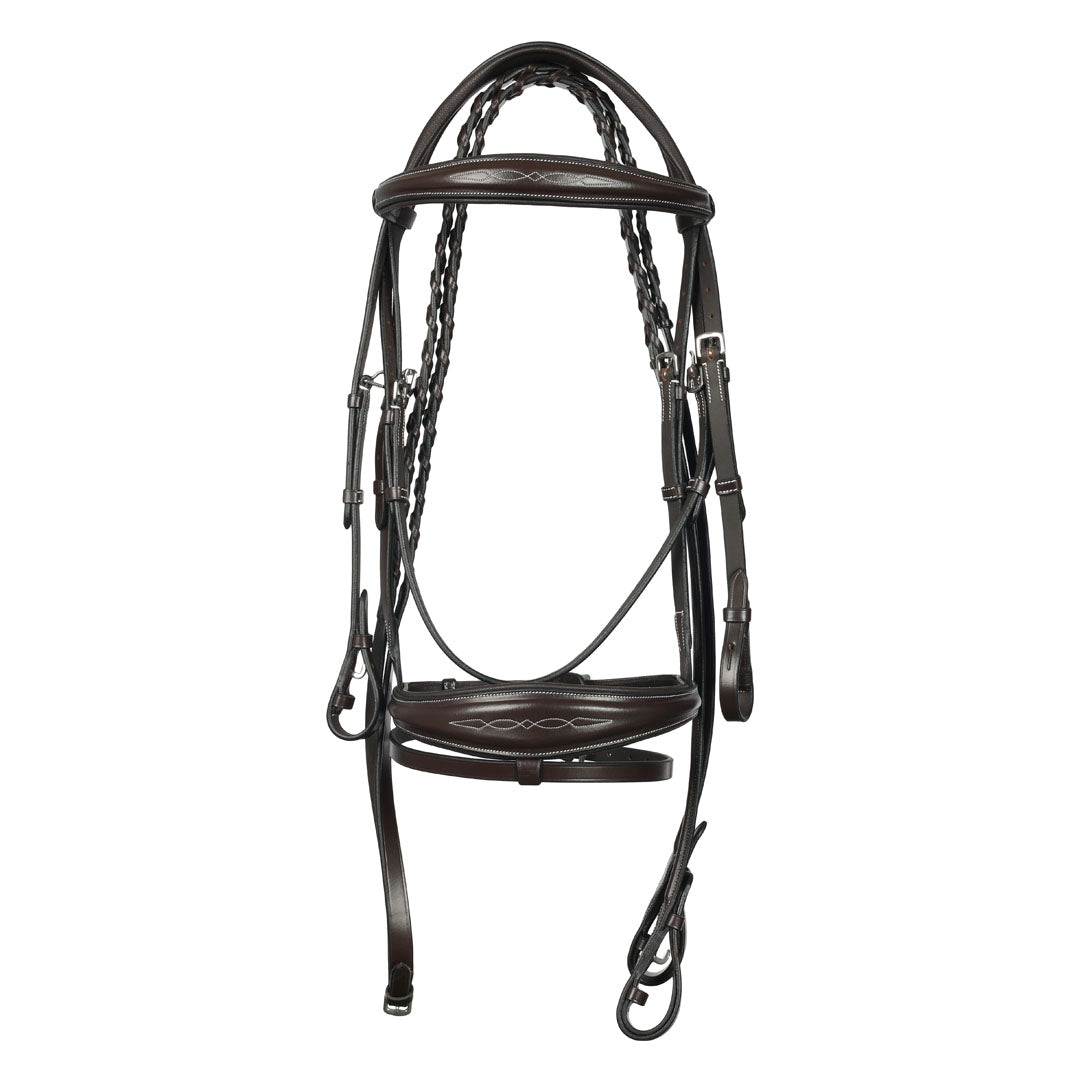 horse bridle with reins