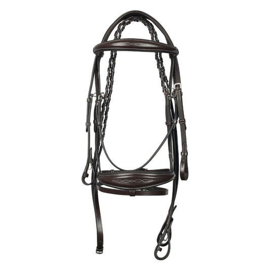 horse bridle with reins