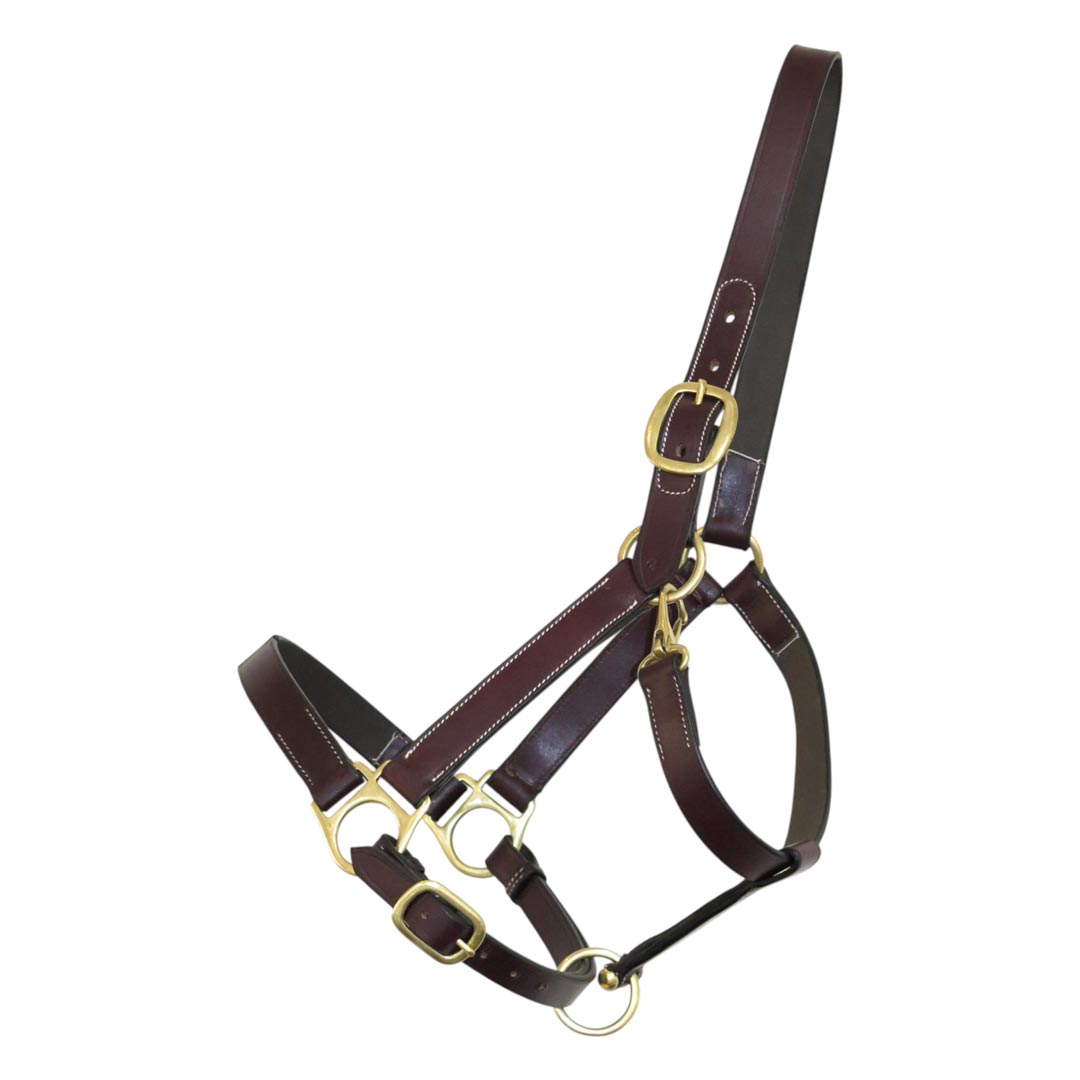 brown leather horse halter