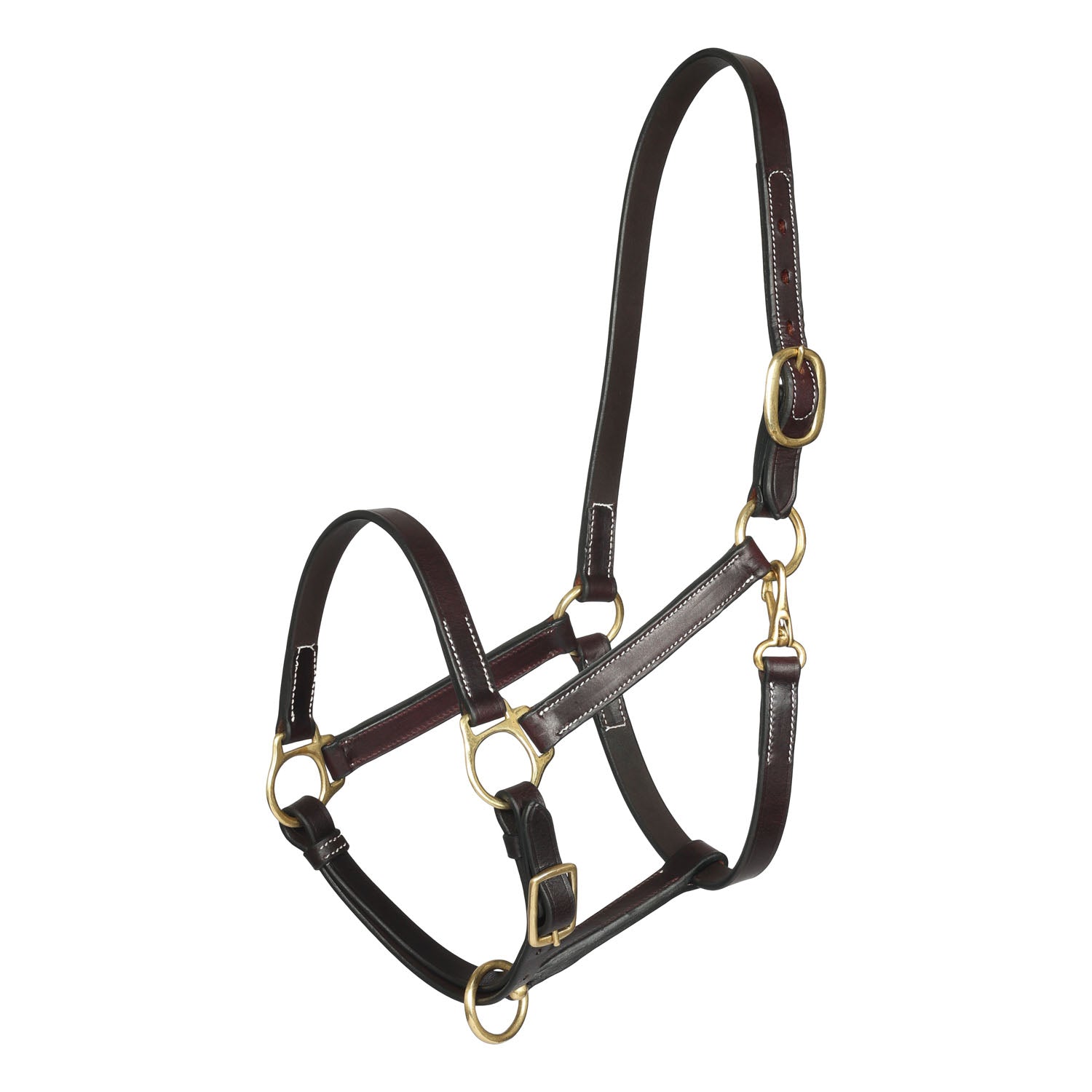 Brown leather horse halter with gold hardware on a white background