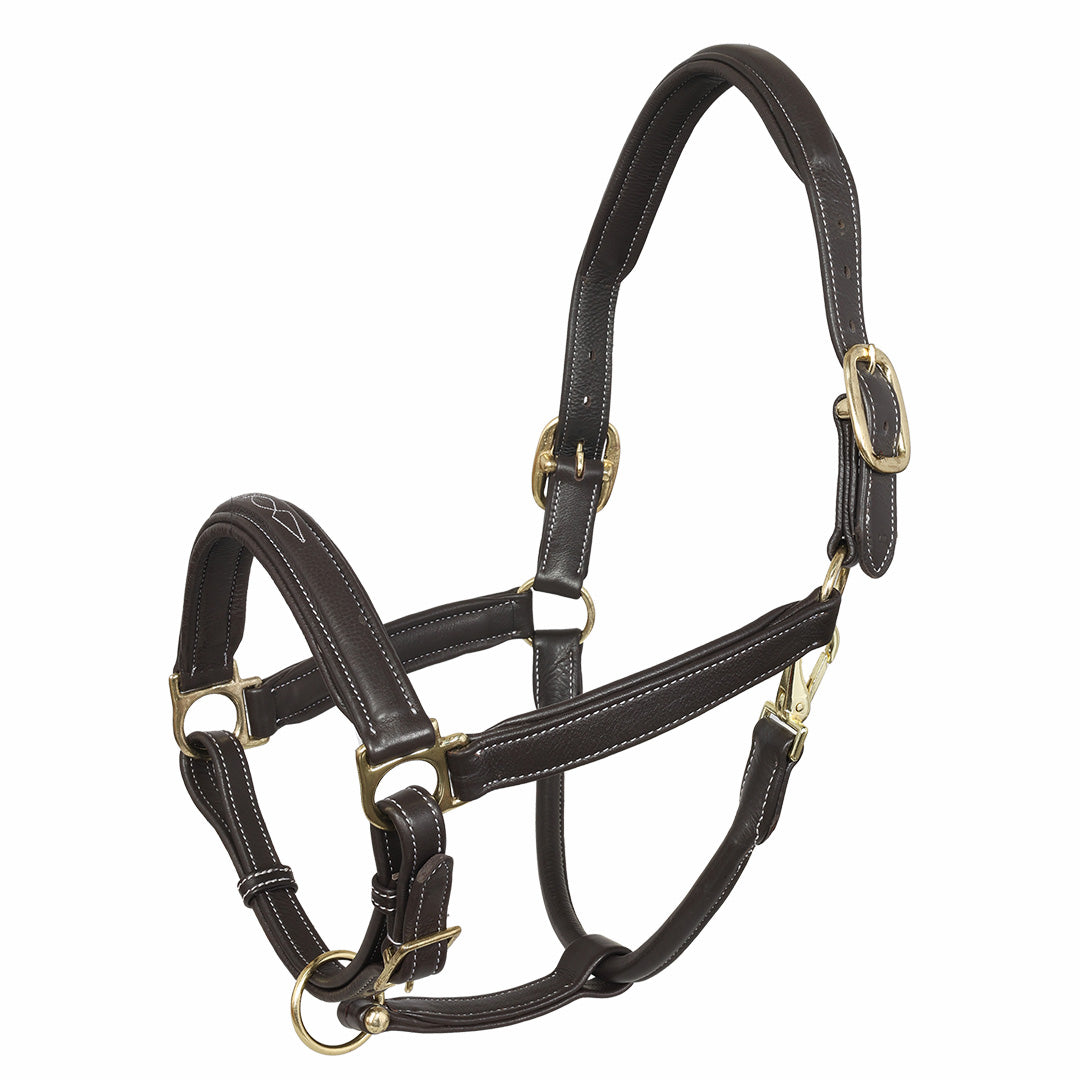 brown horse halter