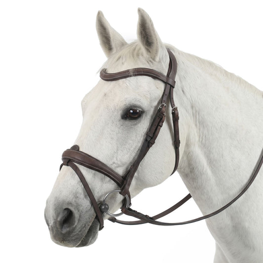 brown horse bridle